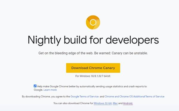  Google Chrome Canary .
