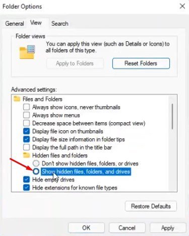 Afficher les fichiers et dossiers cachés dans Windows 11