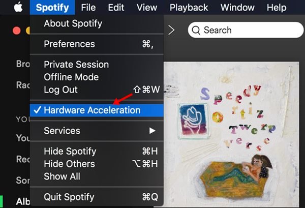 Activer l'accélération matérielle Spotify sur macOS