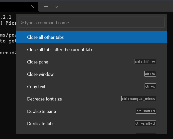 Palette de commandes du terminal Windows