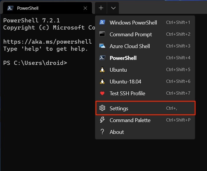 Option Paramètres du terminal Windows