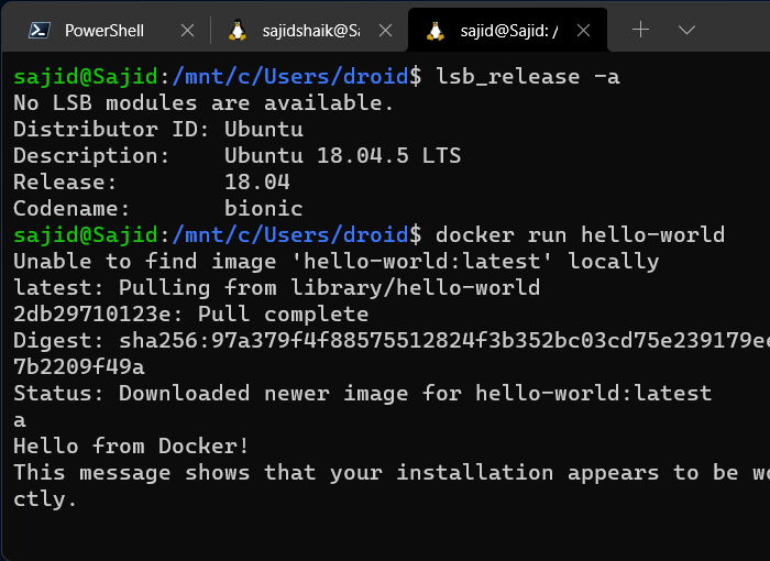 Terminal Windows Ubuntu Docker Hello World