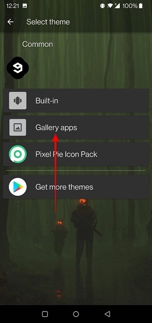 Définir des icônes personnalisées Android Nova Gallery Apps