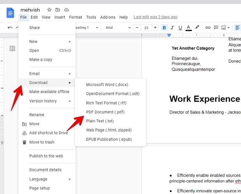 Partage de CV Google Docs Pdf