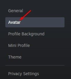 Avatar