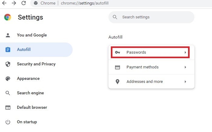 Mots de passe Navigateurs Dot Chrome Autofill Mots de passe