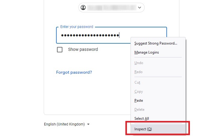 Mots de passe Navigateurs Dot Inspecter le mot de passe