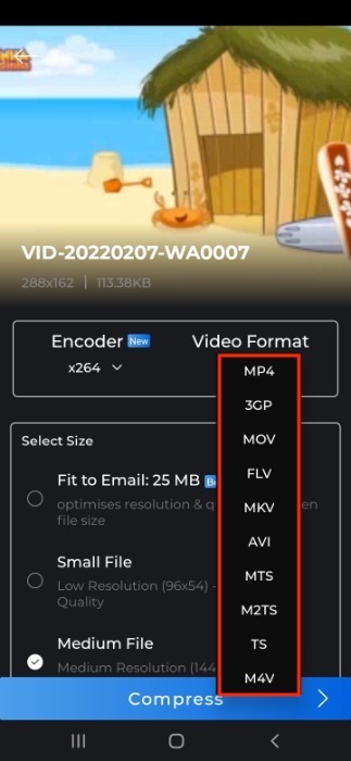 Format de sélection du compresseur vidéo