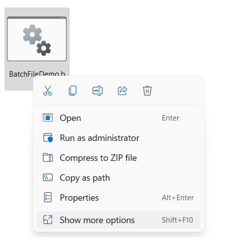 Fichiers batch Windows11 Afficher plus d'options