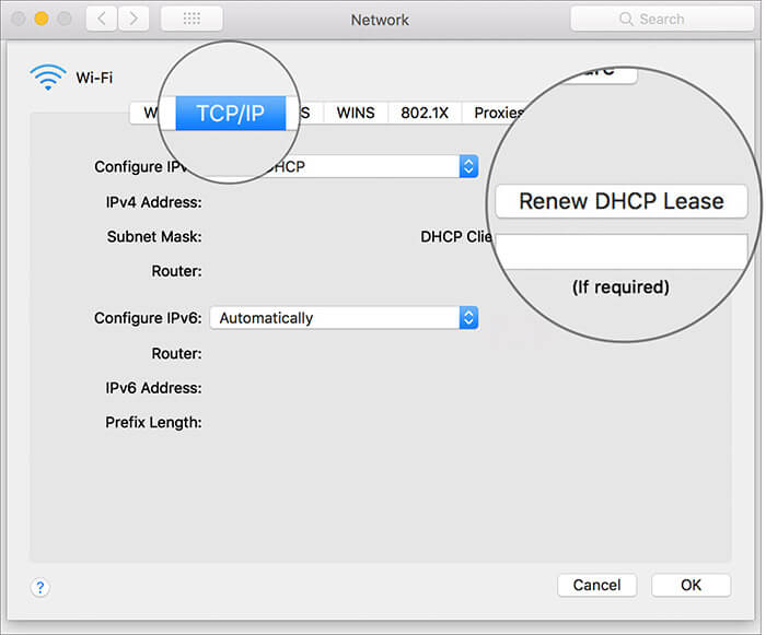 Sélectionnez Renouveler le bail DHCP sous la section TCP: IP dans le réseau Mac