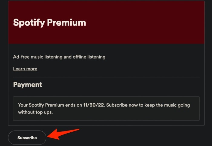 Page Détails du paiement Spotify