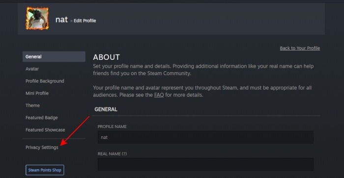 Modifier le profil des statistiques Steam