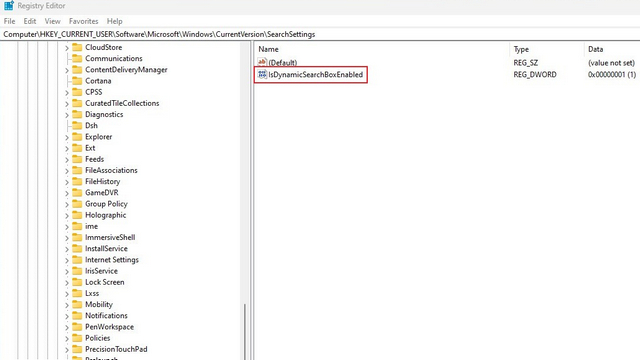 isdynamicsearchboxenabled regedit