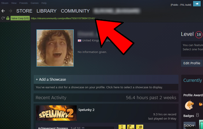 Trouver l'URL de l'identifiant Steam