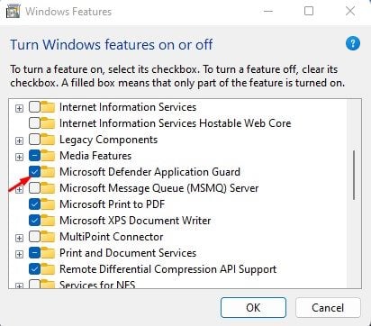 'Microsoft Defender Application Guard'