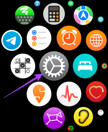 Application de paramètres Apple Watch