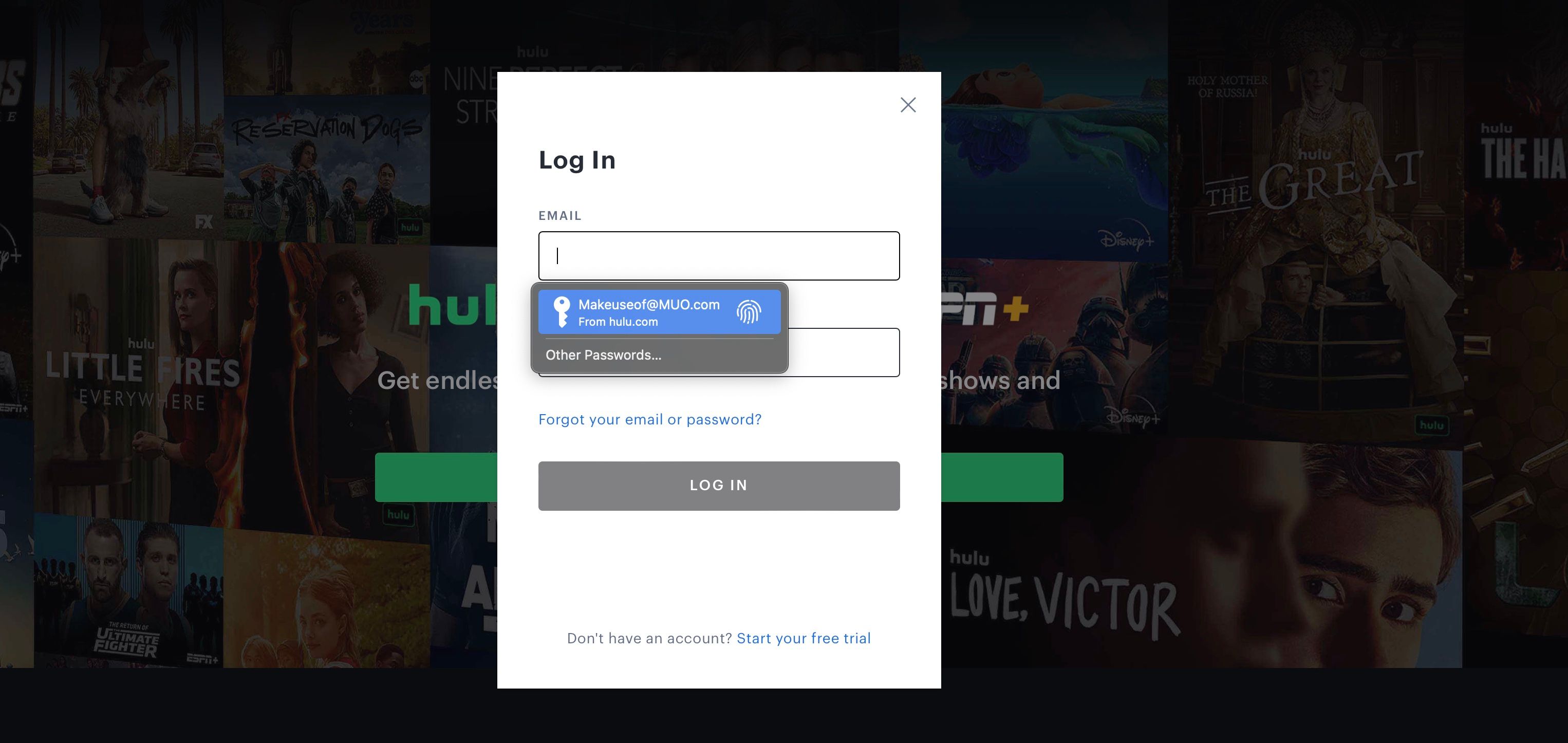 Invite de remplissage automatique dans Safari sur le site Web de Hulu