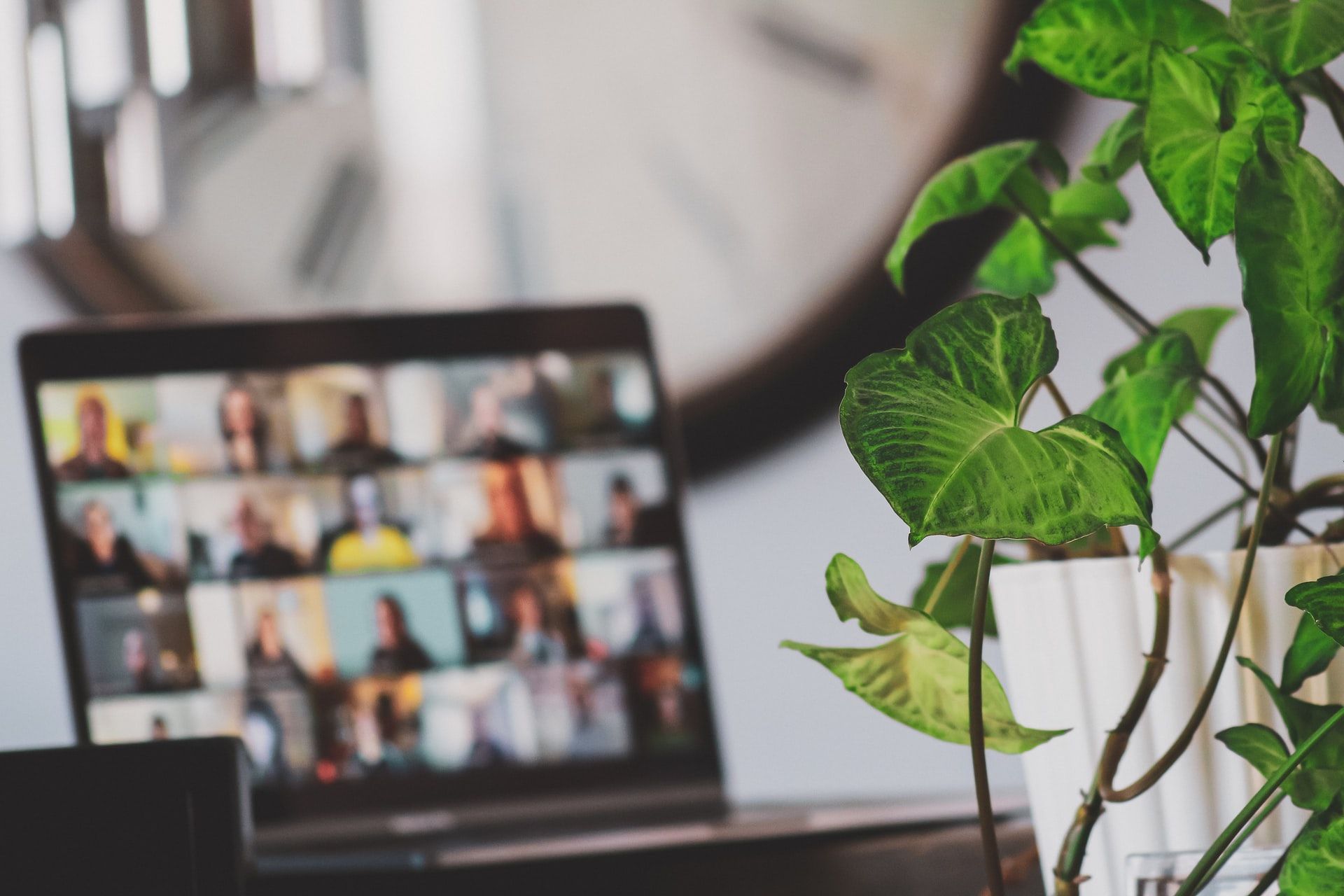 Réunion de conférence virtuelle floue derrière les feuilles