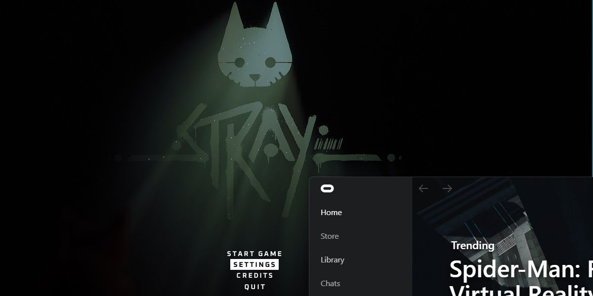 capture d'écran de stray et oculus ouverts en même temps