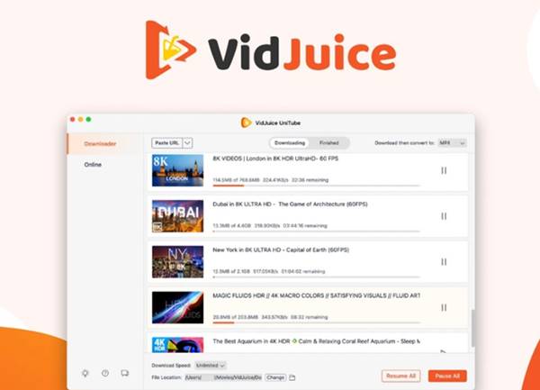 VidJuice