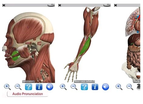 Anatomie visuelle gratuite