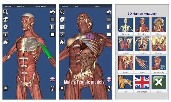 Applications d'anatomie humaine