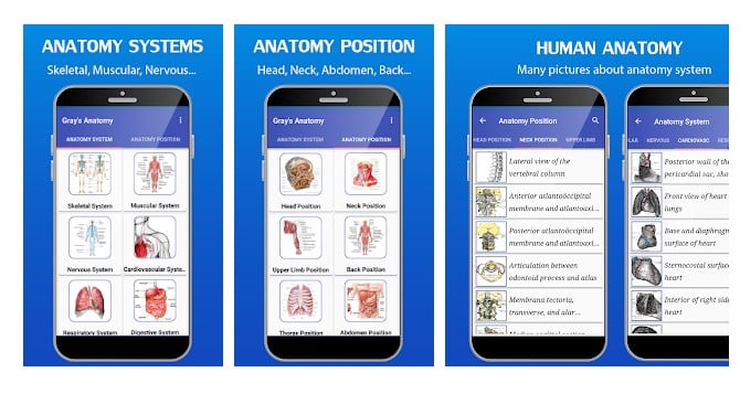 Applications d'anatomie humaine