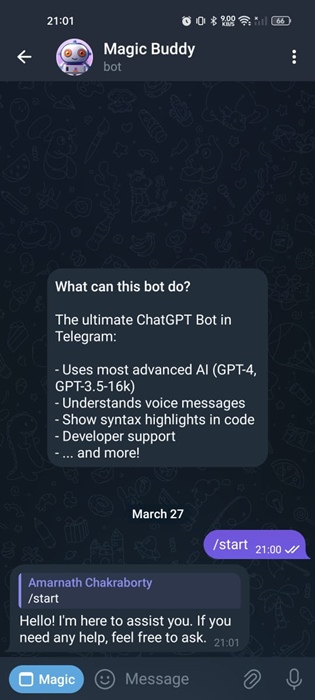 Chatbot IA Magic Buddy