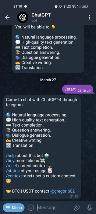 Bot ChatGPT Plus