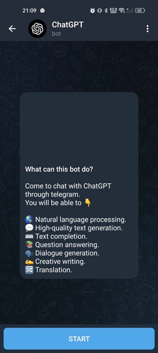 Bot ChatGPT Plus